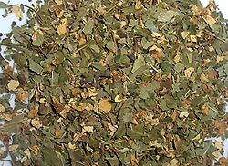 ENET-LC2-GN10G-1M-ENC