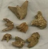 ENET-6FLC2A10GPE150MENC