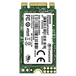 Transcend-TS256GMTS530T