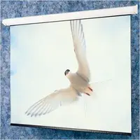 Draper-116300