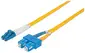 Intellinet-472050