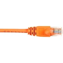 BLACK BOX CORPORATION-CAT6PC-004-OR