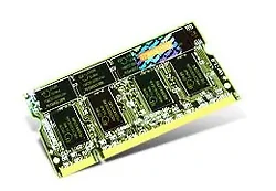 Transcend-TS32MSD64V3G