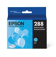 EPSON-EPST288220-S