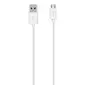 Belkin-F2CU012BT04-WHT