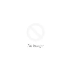 SYNNEX-WG018983
