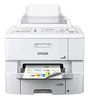 EPSON-C11CD47201-NA