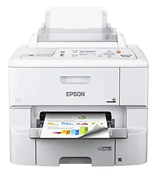 EPSON-C11CD47201-NA