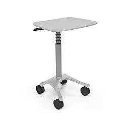 ERGOTRON-ZAL22CG/CG4