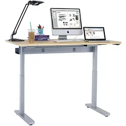 ERGOTRON-MVBD60SS/MP