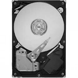 SEAGATE-ST31000340NS