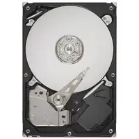 SEAGATE-ST31000524AS