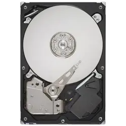 SEAGATE-ST31000524AS