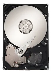 SEAGATE-ST31000640SS