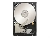 SEAGATE-ST32000444SS