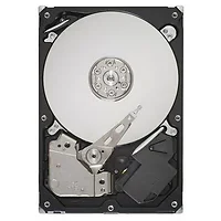 SEAGATE-ST3250312AS