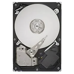 SEAGATE-ST3250312AS