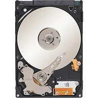 SEAGATE-ST33000651SS