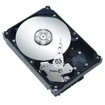SEAGATE ST3750640AS