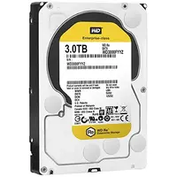 Western Digital-WD3000FYYZ
