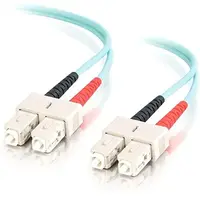 C2G-11019
