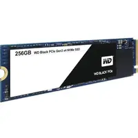Western Digital-WDS256G1X0C