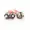 33164