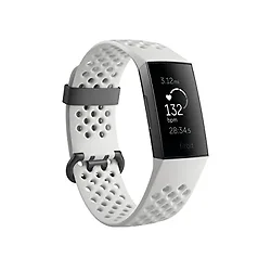 Fitbit-FB410GMWT