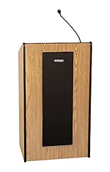 AmpliVox-S450-OK