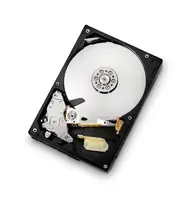 Western Digital-HDE721010SLA330