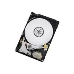Western Digital-HTS547550A9E384