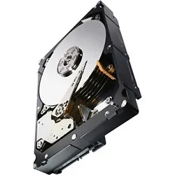 SEAGATE-ST1000NM0033