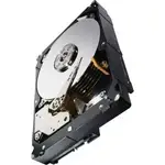 SEAGATE ST3000NM0023