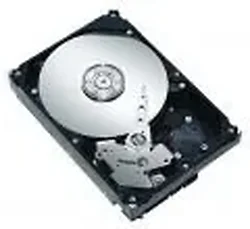 SEAGATE-ST3250310CS