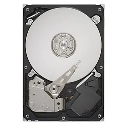 SEAGATE-ST3500630NS