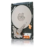 SEAGATE-ST95005620AS