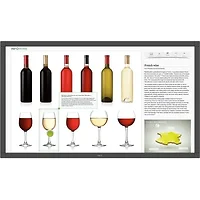 SHARP NEC-V484-T-Rpi