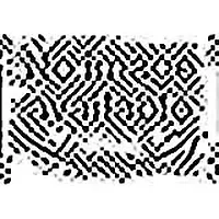 Promise Technology-X50CABXL1