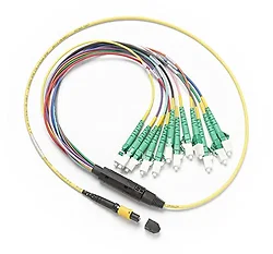 Fluke Networks-SBKC-MPOAPCU-LCAP