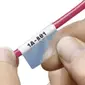 Panduit-NWSLC-7Y