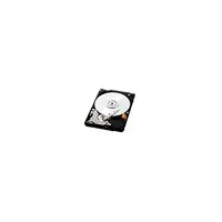 Western Digital-1W10013