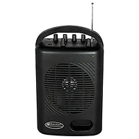 AmpliVox-SW245