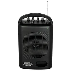 AmpliVox-SW245