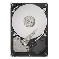 SEAGATE-ST31000333AS