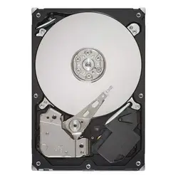 SEAGATE-ST31000333AS