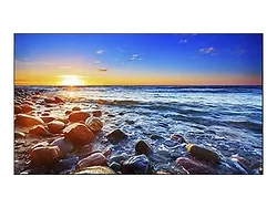 SHARP NEC-UN551S-TMX4P