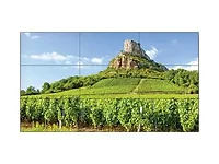 SHARP NEC-UN551S-TMX9P