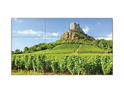 SHARP NEC-UN551S-TMX9P