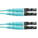 Panduit FZ2ERLNLNSNM010