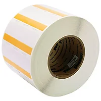 Panduit-S100X225VFTY